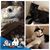 Dawn Holmgren Kaye's profile image