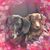 Heather Jody's profile image