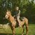 Jason Daigneault's profile image