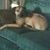 Joyce Middleton's profile image