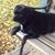 Cynthia Poore's profile image