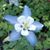 Denise King's profile image
