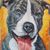 Amy Gorman's profile image