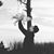 Francisco Guifarro's profile image