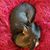Valerie Whitman's profile image