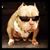 Jose Espinoza's profile image