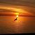 Randy Goodenough's profile image