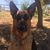 Wahine VF's profile image