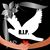 Maria Seaman's profile image