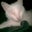 Anastasia Bairaktaris's profile image