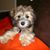 Sandy Doherty's profile image