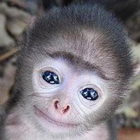 Tye O'Bryan's profile image
