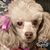 Julie Anderson's profile image