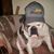 James D Saucier's profile image