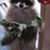 Peggy Jo Massarini's profile image
