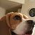 Bryce Hares's profile image
