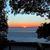 Nancy Williams's profile image