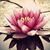 Carol Garnaat Messner's profile image