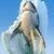 Shane Welsh's profile image