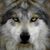 Luann Barger's profile image