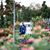 Myranda Read's profile image