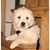 Hanson H.'s profile image