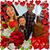 Carol Lewandowski's profile image
