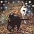 Pam Boehmer's profile image