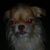 Brock Swanlund's profile image