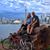 Rick Laven's profile image