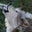 Nic Wolfe's profile image
