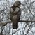 Sue Z Evans's profile image