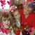 Nancy Dodd Meadows Dixon's profile image