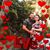Tayla K Edge's profile image