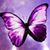 Melissa S Binz's profile image