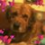 Rhoda Tatum-Dingus's profile image