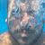 Gastón Soso's profile image