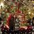 Mindy Schlosser's profile image