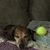Vicki Carlile's profile image