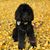 Mary Sidlauskas's profile image