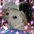 Lori Hoell's profile image