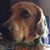 Clif Duggins's profile image