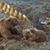 Jerry Bolum's profile image