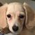 Sherrill Boyce's profile image