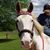 Cynthia Bontreger's profile image