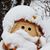 Nancy Rathbone Trogdon's profile image