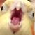 Rebecca Roa's profile image