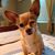 Kathy Moore's profile image
