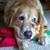 Cathy Lester Tewell's profile image