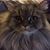 Wendy Reid's profile image